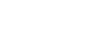 SILVER SERVICES